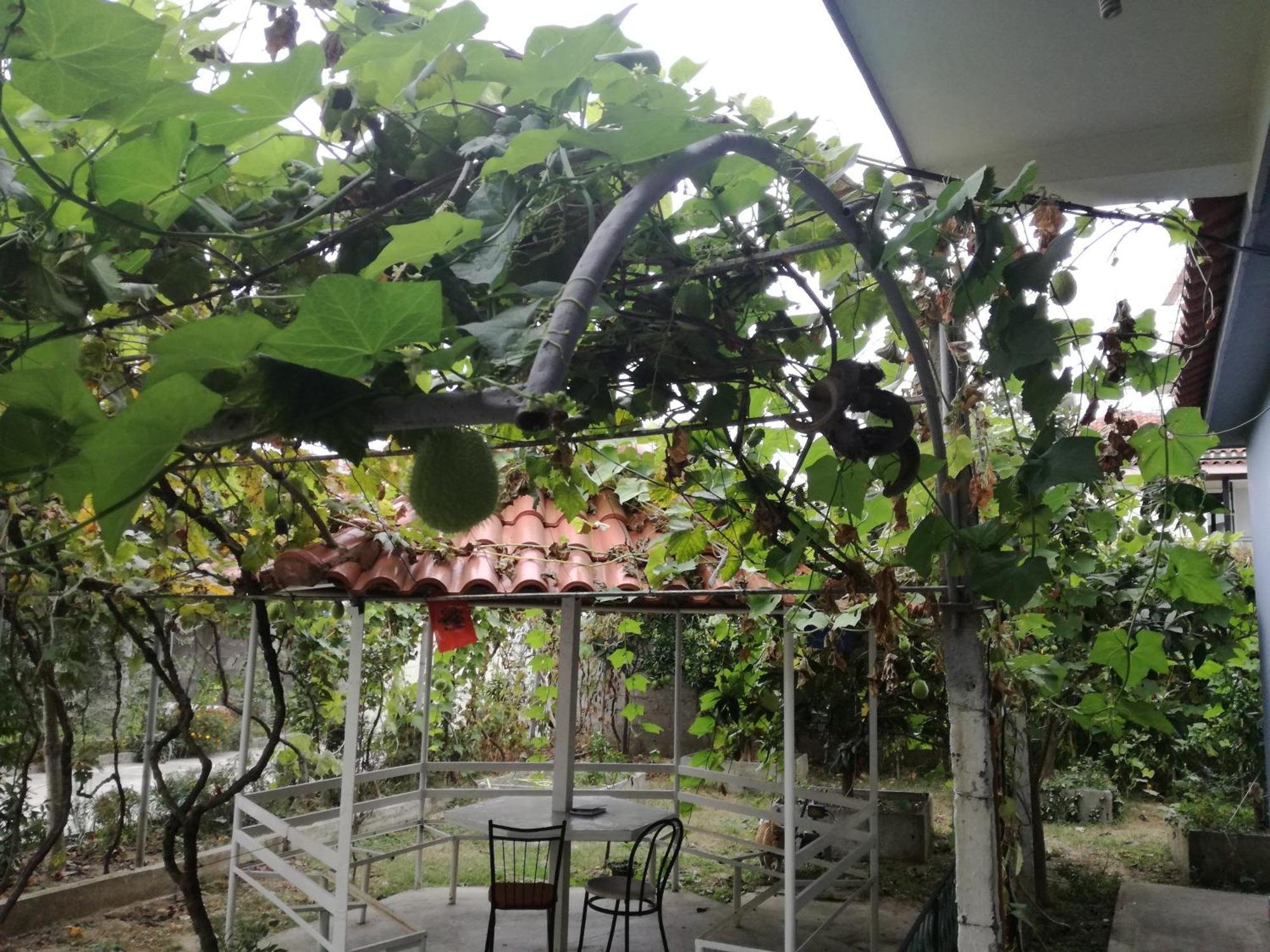 Villa Osmani Durrës Exteriör bild