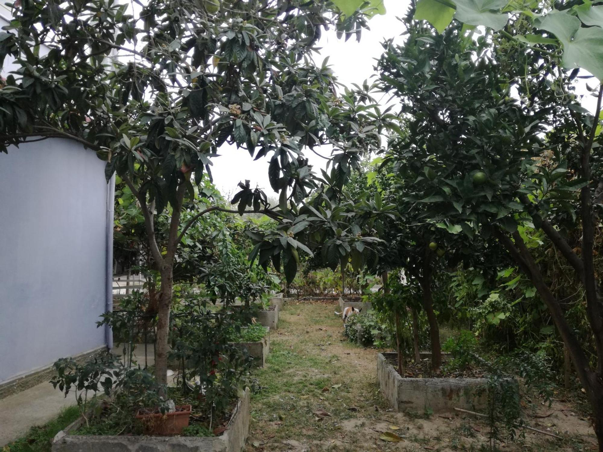 Villa Osmani Durrës Exteriör bild